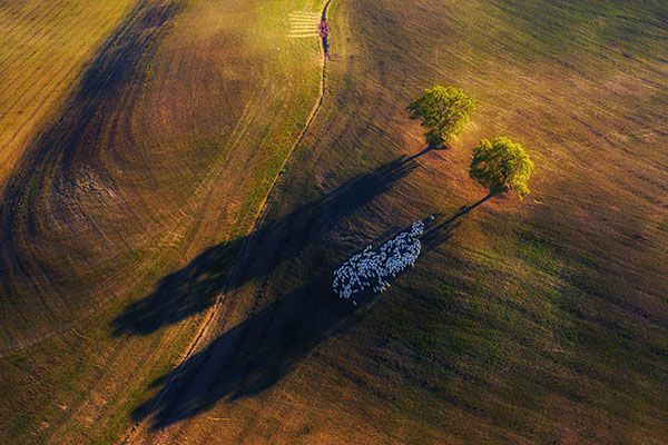 aerial image taken in tuscany in autumn light
