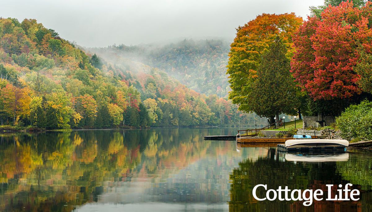 fall colours on the lake
