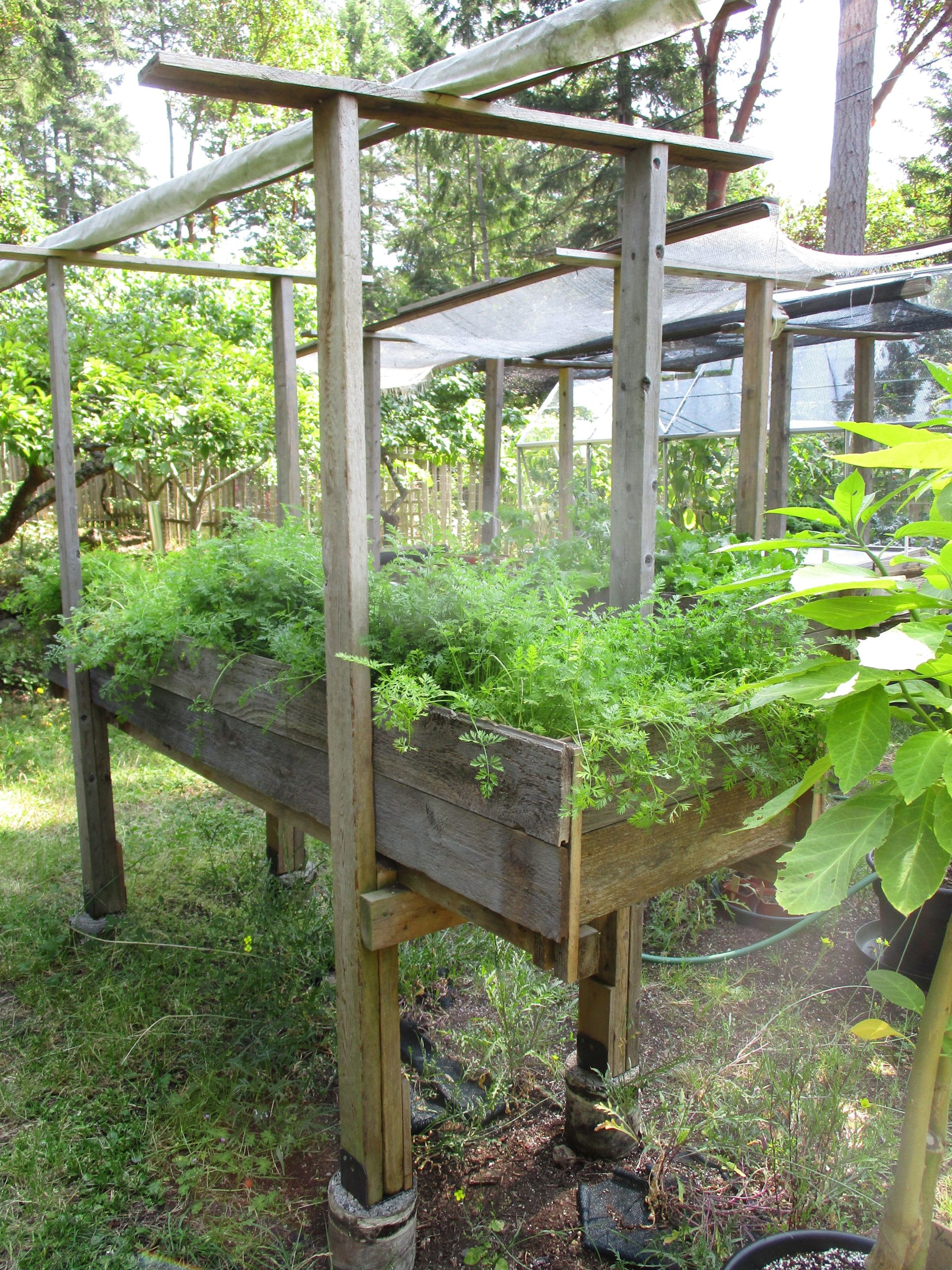 DIY raised bed garden project