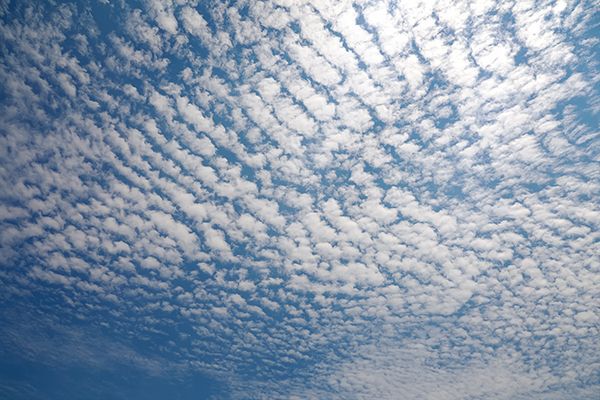 Cirrocumulus clouds