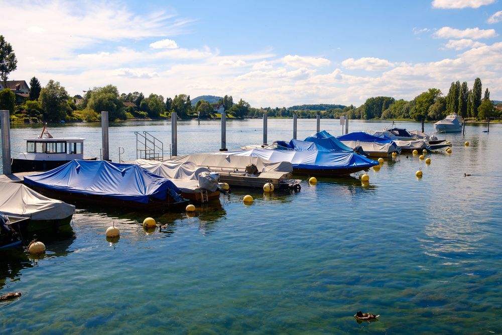 boats docked at a marina