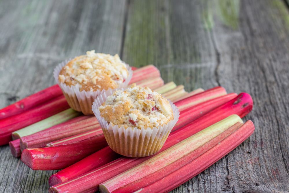 Rhubarb muffins resting on rhubarb stalks