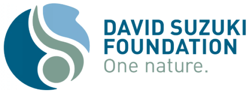 David Suzuki Logo