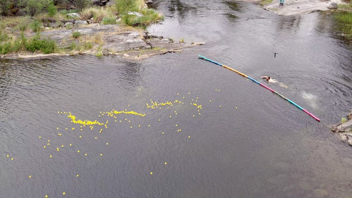 Duck Racing Sport New sport alert: extreme duck racing - Cottage Life