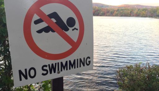A "No Swimming" sign in front of a lake