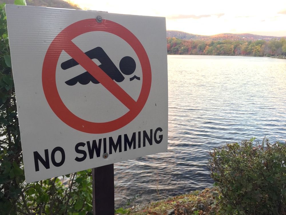A "No Swimming" sign in front of a lake