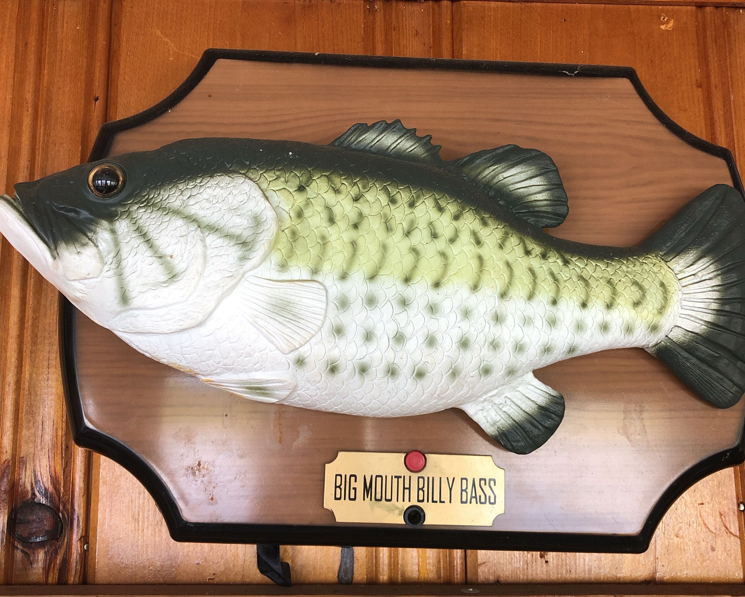Love it or hate it, Big Mouth Billy Bass has a colourful history