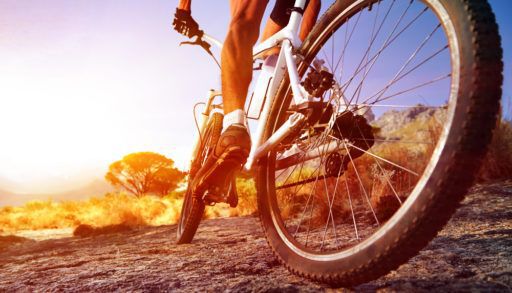 A low-angle shot of a mountain bike rider on a rocky trail