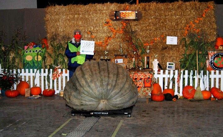 Heaviest Squash