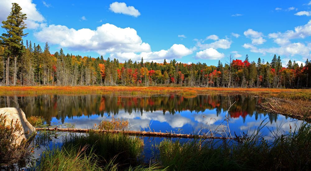 Algonquin Provincial Park