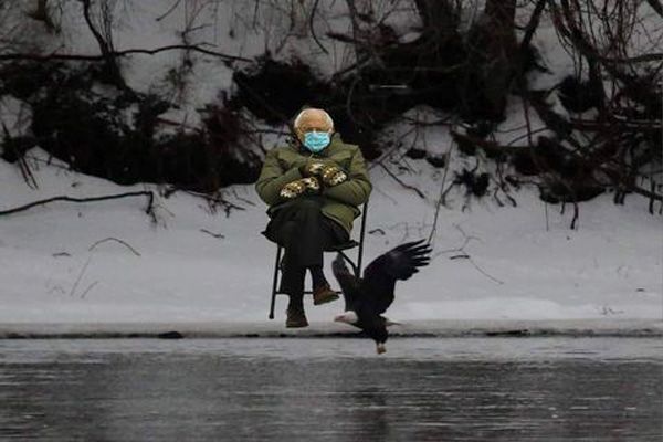 Bernie Sanders watching eagle fishing