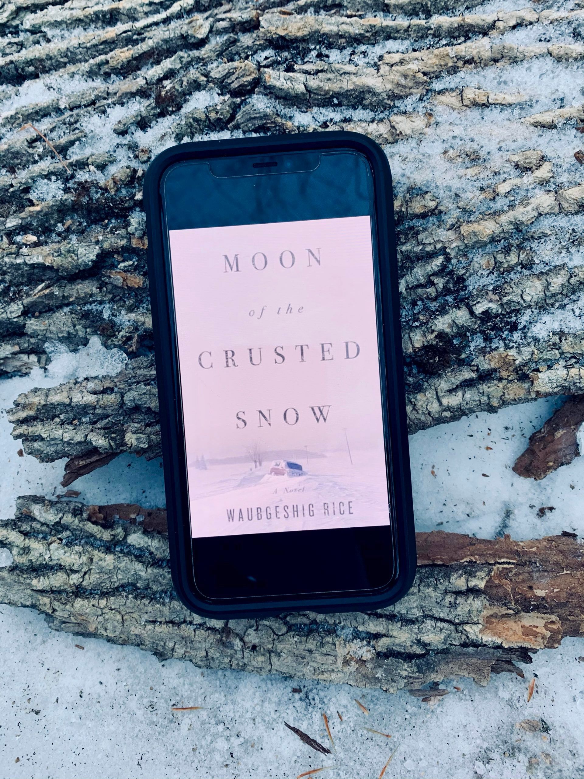 The Moon of the Crusted Snow by Waubgeshig Rice