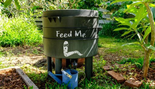 wormery compost bin in organic Australian garden with Feed Me worm sign, sustainable living and zero waste lifestyle