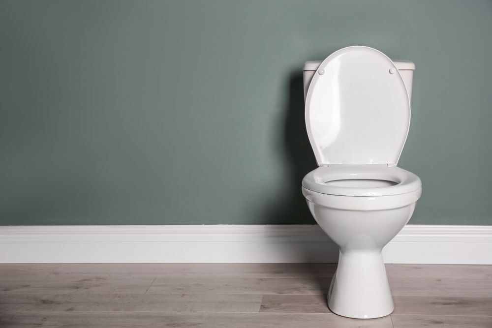 A ceramic toilet against a grey-green wall