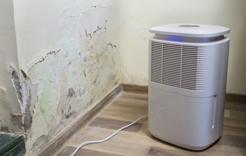 Purifier next to a damaged wall from severe mold and toxic fungus growth. Dehumidifier for water infiltration, moisture, damp and high humidity. Room air filter.