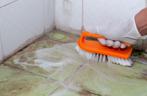 Copy space of hand people is scrubbing brush on surface of the floor is spread of disease and bacteria