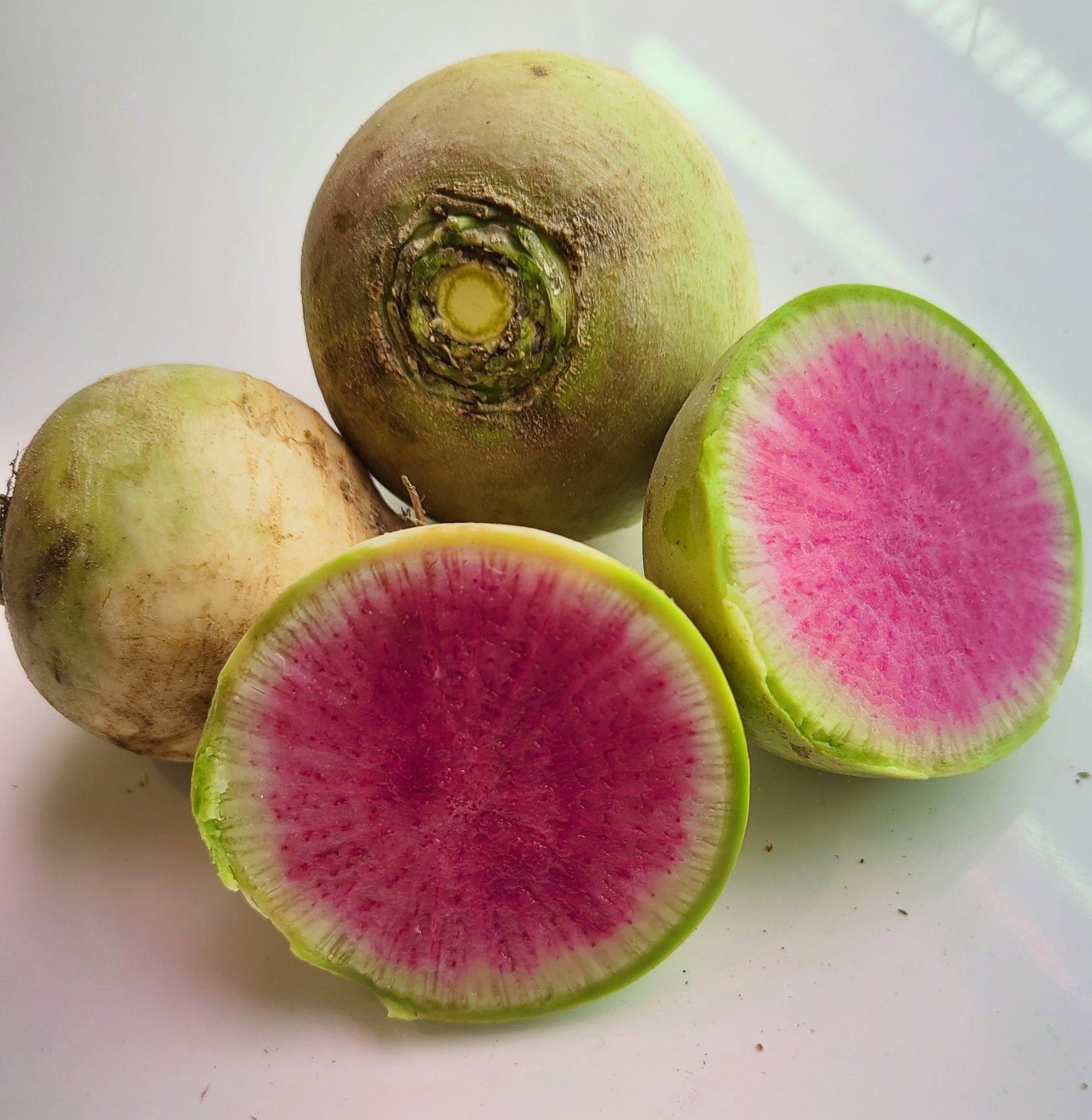 watermelon radish