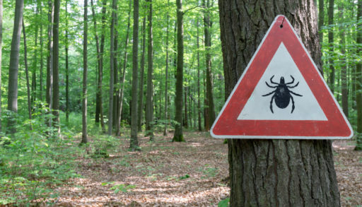 warning sign for ticks on trail sign