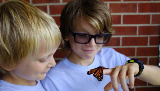 two-young-boys-holding-and-looking-at-a-monarch-butterfly-outside