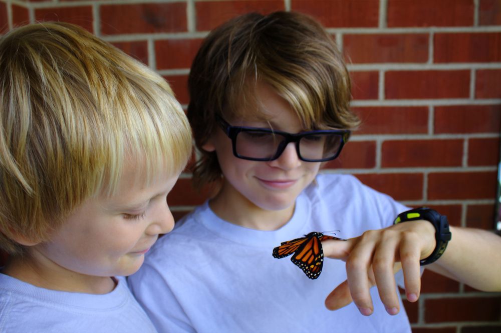 two-young-boys-holding-and-looking-at-a-monarch-butterfly-outside