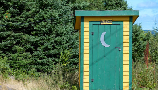 A yellow-and-green outhouse beside a pine tree