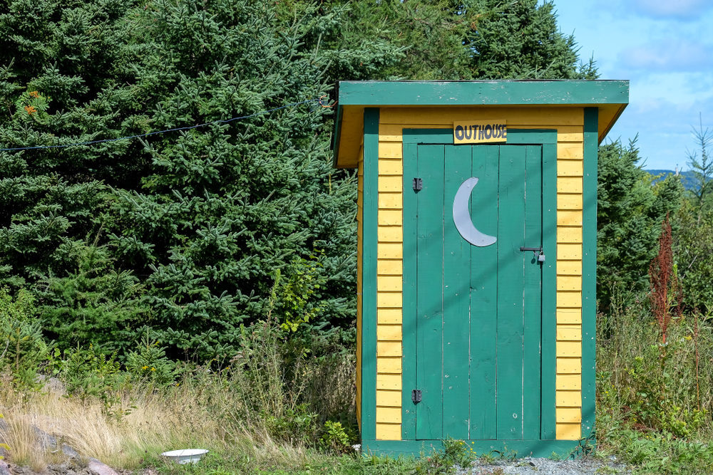 A yellow-and-green outhouse beside a pine tree