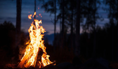 Burning campfire on a dark night in a forest, firewood