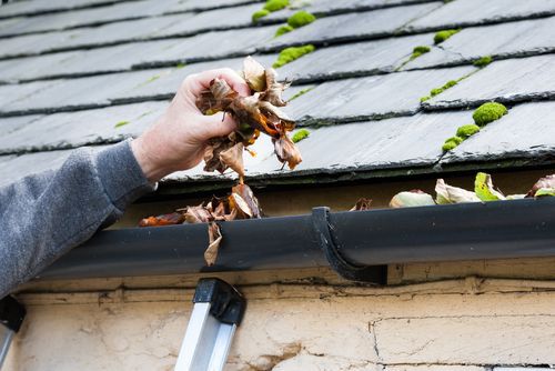 clearing blocked gutter of autumn leaves, spring maintenance