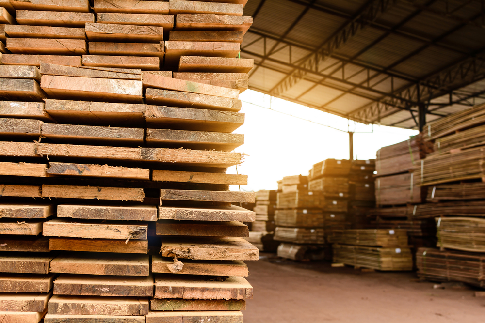Wood factory stock and lumber board with nature business export