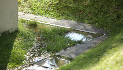 Flooding on the grass caused by a blocked, malfunctioning septic tank.