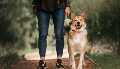 Woman walking dog in park