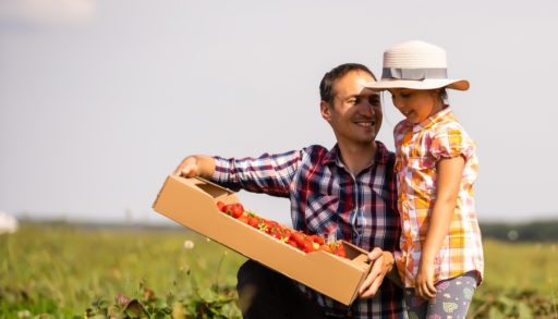 Father and daughter berry picking