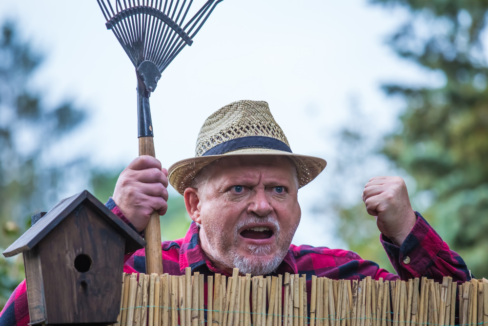 An angry man holding a rake, looking over the fence at his neighbours