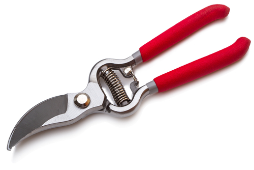 Garden pruner isolated on white background, yardwork tools