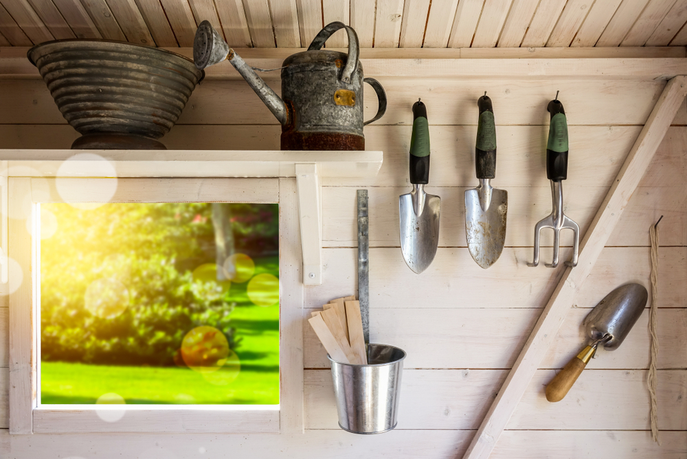 Garden tools in a small storage shed. Shovels, rake, water pitcher and gardening equipment.
