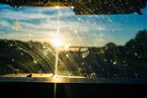 dead insects on the windshield, emergencies