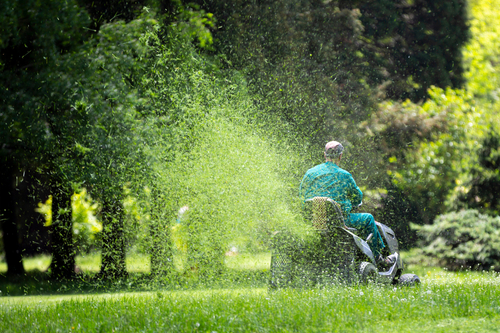 Worker with a gasoline tractor lawn mower mows the fresh green lawn, ecosystem