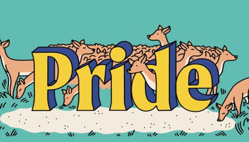illustration of the word pride with various deer around it