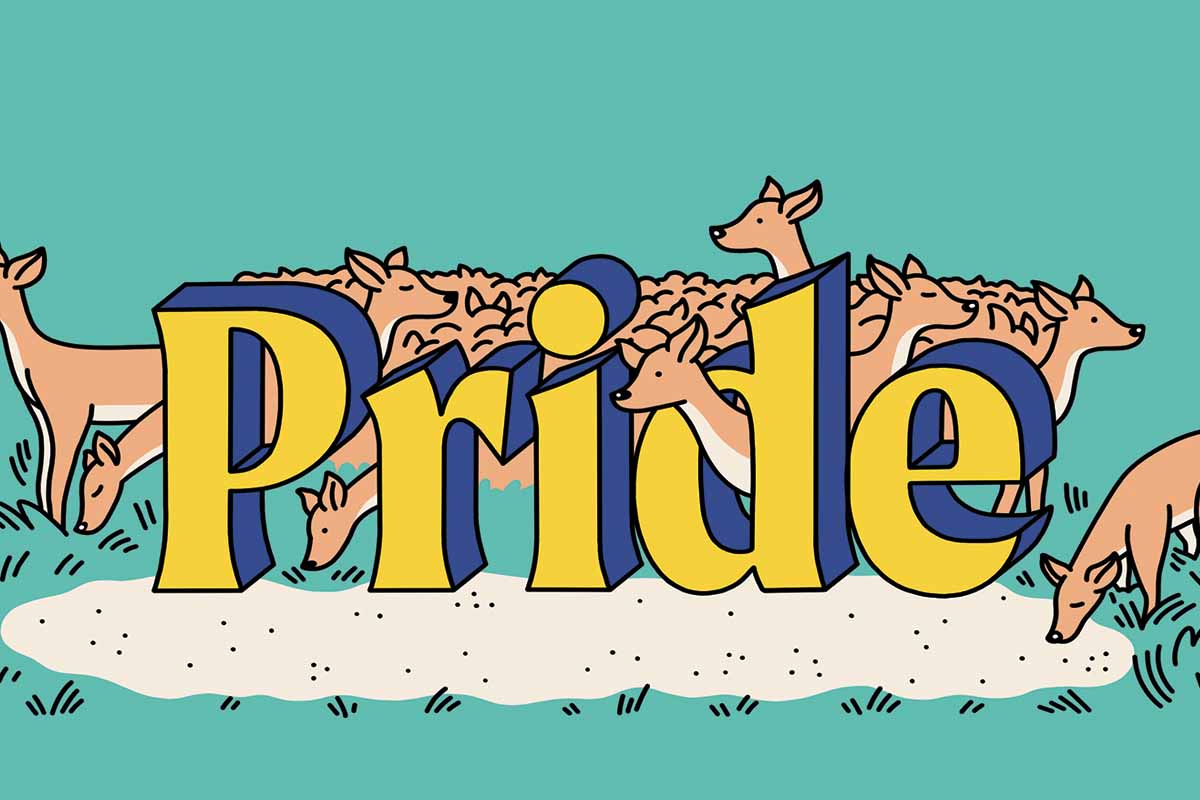 illustration of the word pride with various deer around it