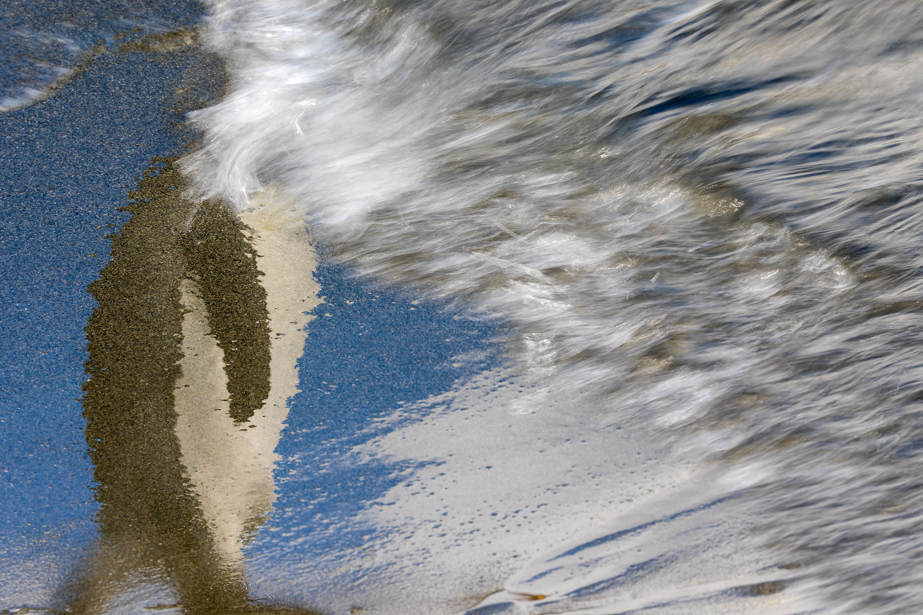 Penguin's reflection on sand destroyed by a wave of the ocean
