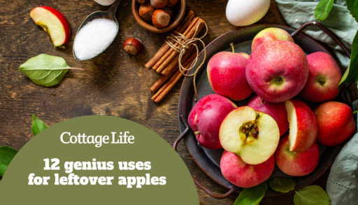 Wooden table with red apples, cinnamon and sugar