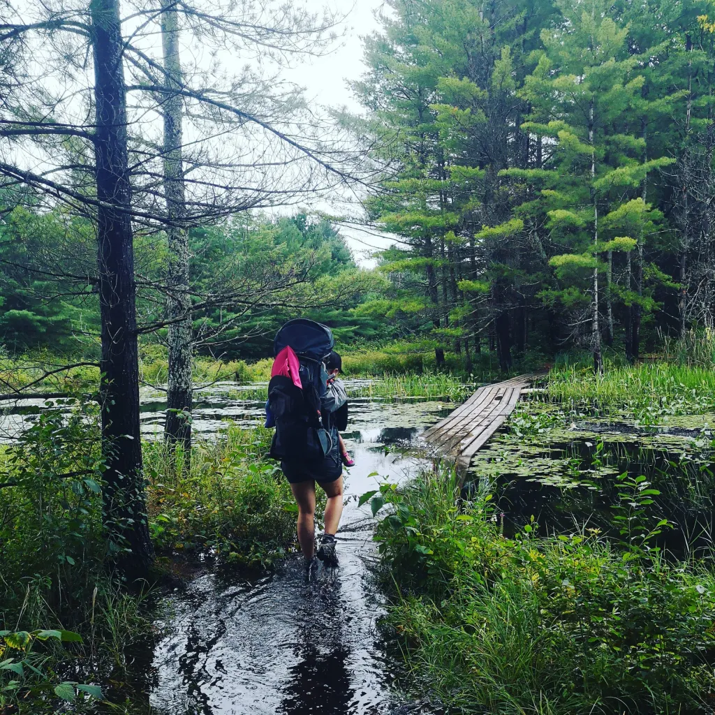 Eastern Pines Backpacking Trail in Algonquin Park, Ontario