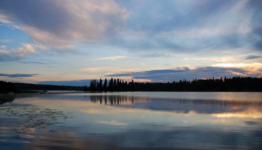 View of Island Lake in Alberta with trees in the background.