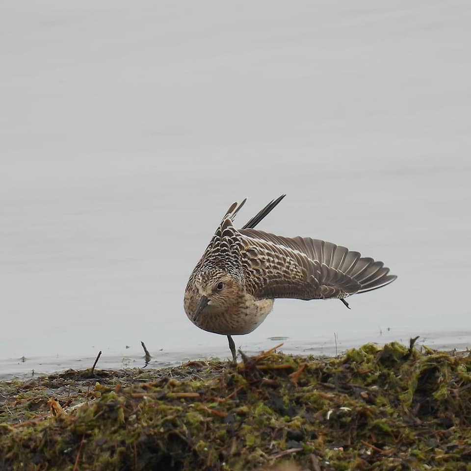 Presqu'ile Provincial Park