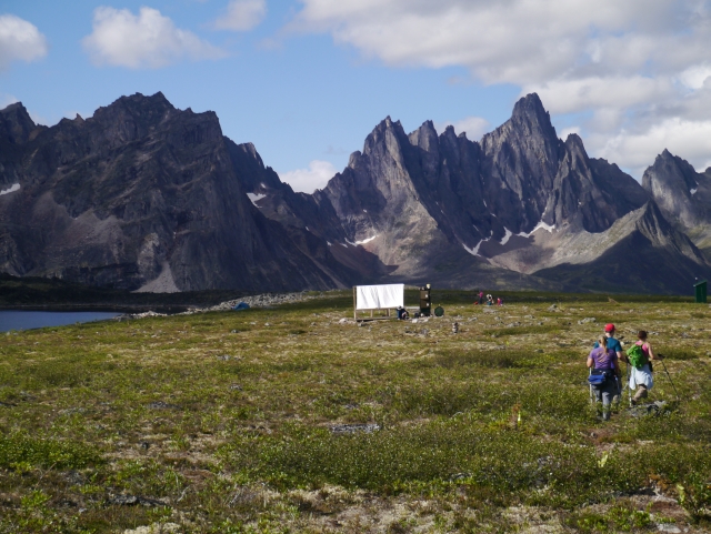 Talus Lake Trail in the Yukon