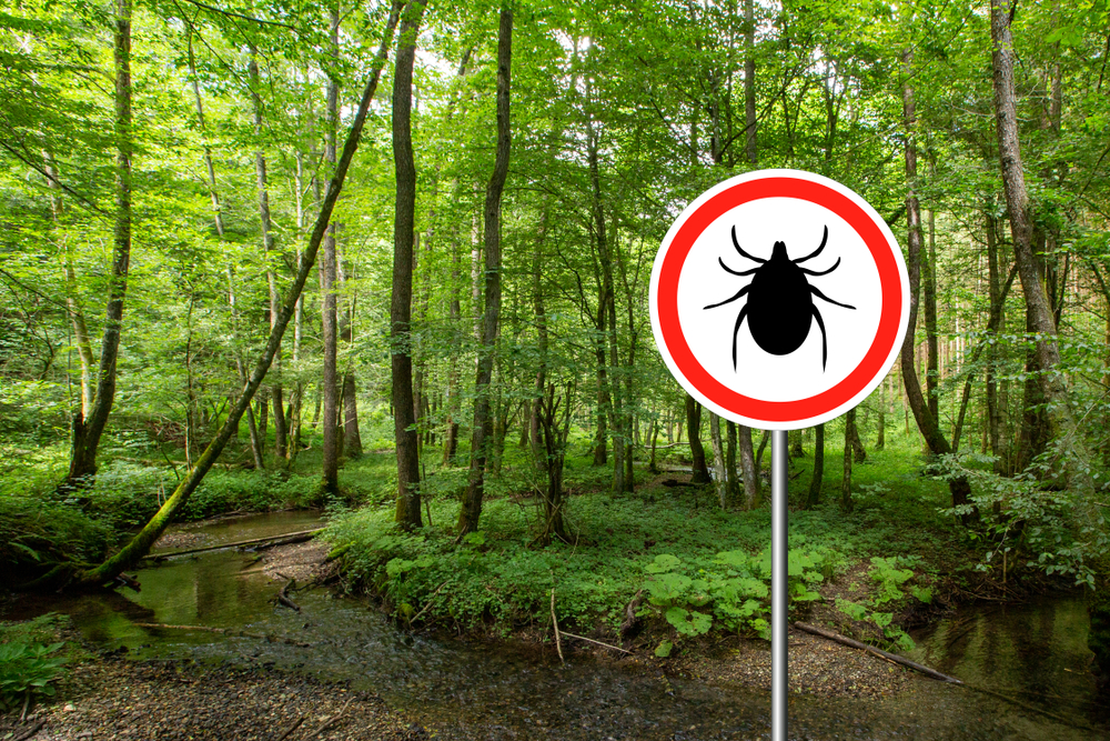 A caution sign in a forested area warns about ticks that carry lyme disease