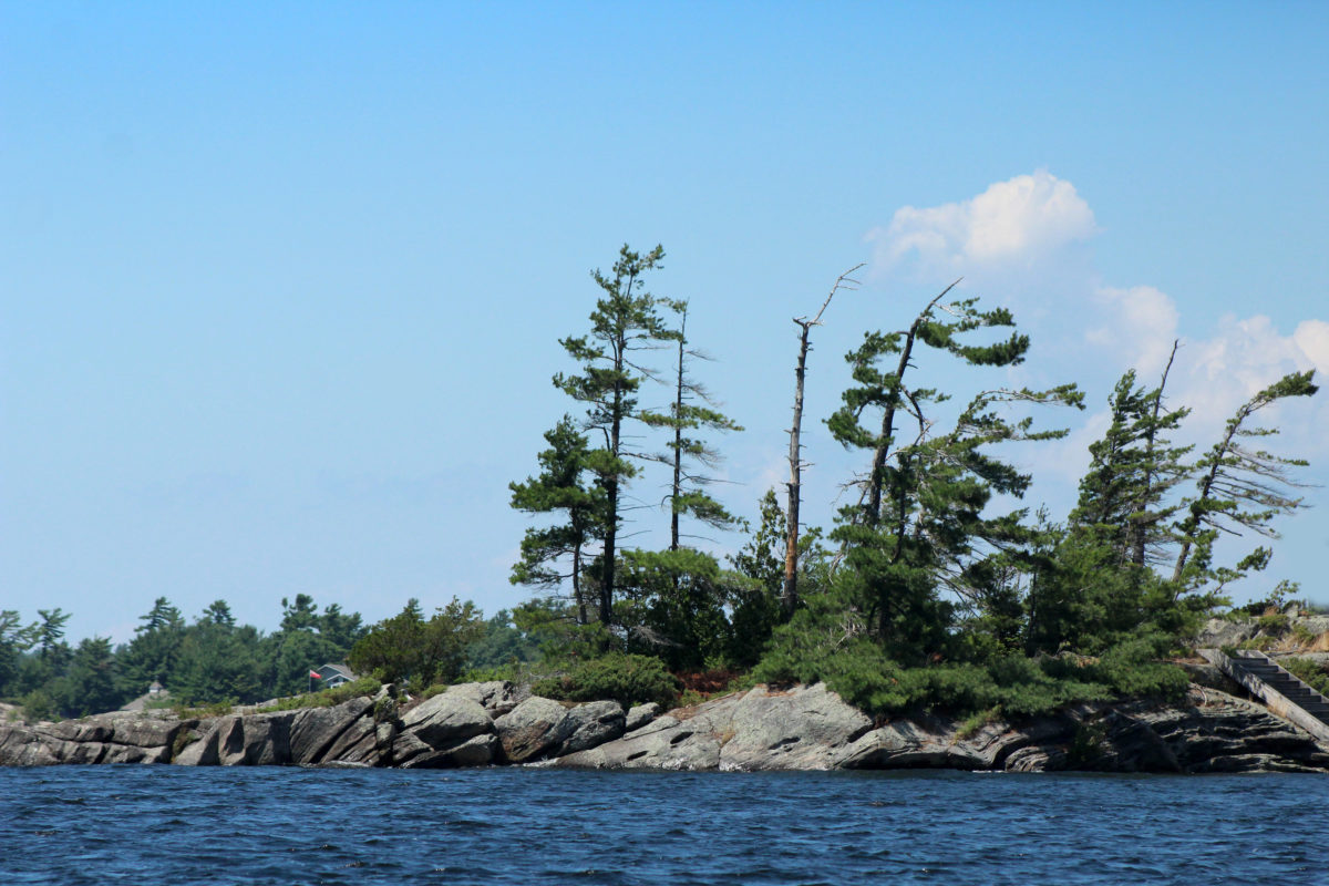 Trees atop rocks belonging to Georgian Bay's Thirty Thousand Islands