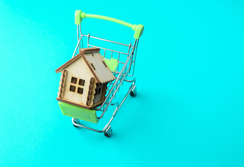 New cabin in a supermarket basket on a coloured background. Real estate object, house for sale, rental property concept.
