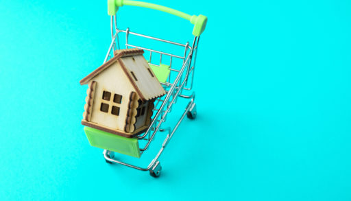 New cabin in a supermarket basket on a coloured background. Real estate object, house for sale, rental property concept.