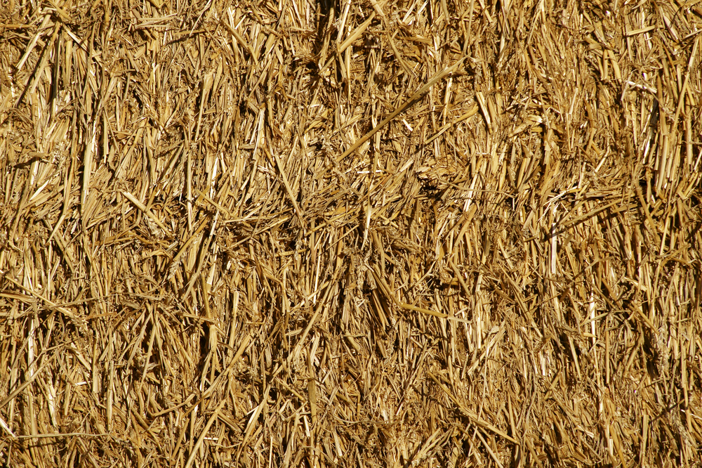 A close up shot of a straw bale